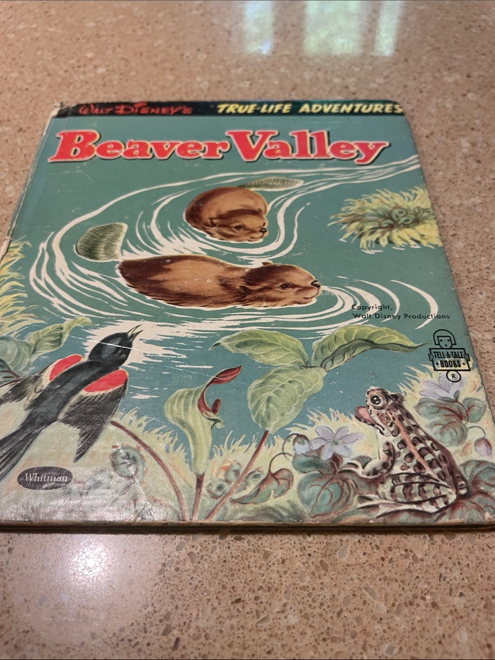 Beaver Valley Vintage Illustrated Coffee Table Book - Teal Cover